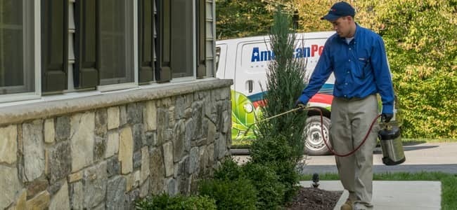 maryland pest control technician treating home for pests