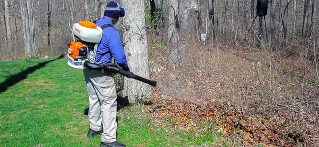 technician performing mosquito and tick treatment