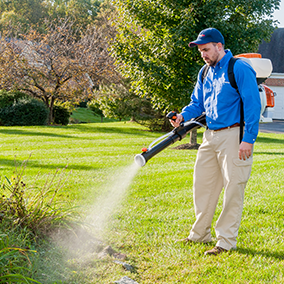 commercial mosquito control tech in maryland treats landscaping