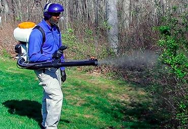 treating yard for mosquitoes