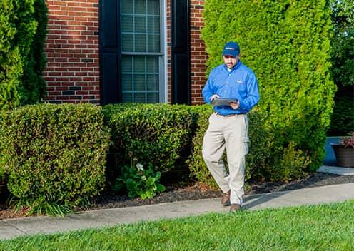 termite specialist doing inspection