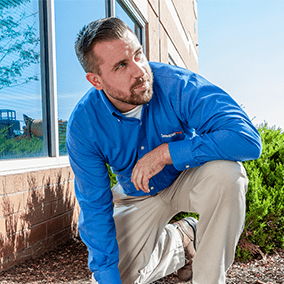 commercial mosquito control specialist in md