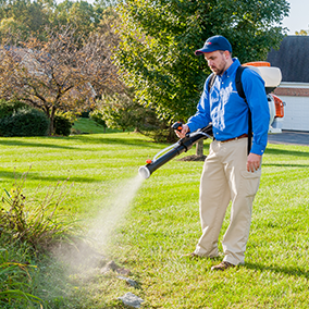 tech treating maryland yard for mosquitoes