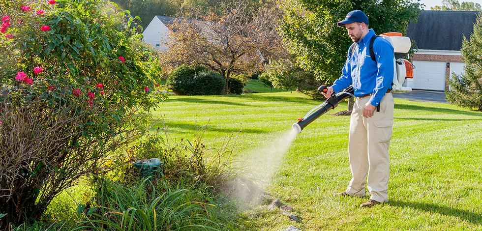 a technician spraying a treatment on a yard in virginia