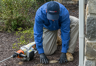 halo termite monitoring