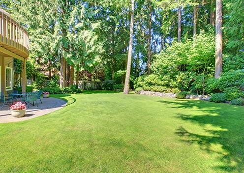 a well groomed backyard in virginia