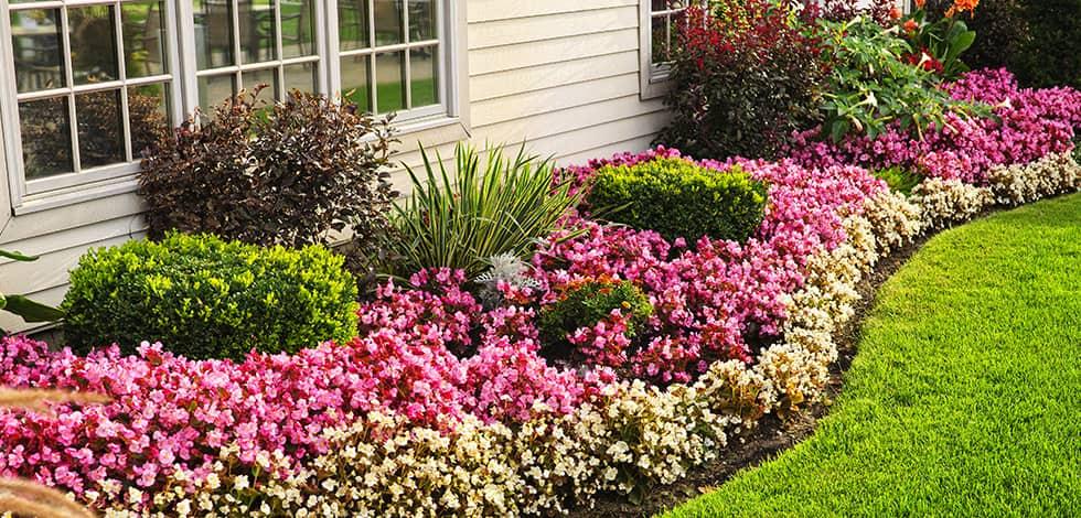 Flowers Around Your Home May Be Attracting Stinging Insects beautiful flowers outside a bristow virginia home