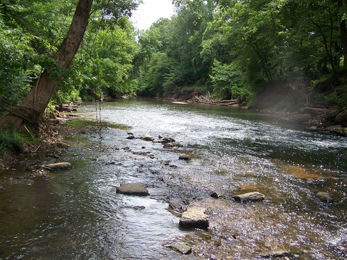 Reedy River at Rocky Creek Greenway (Credit: Upstate Forever)