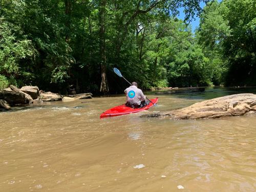 Paddling upstream again (Credit: Jason Vital)