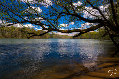 Catawba River, near Rock Hill, SC (Credit: Jim Dollar, via Flickr (CC BY-NC 2.0))
