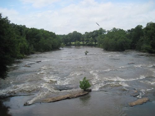 shoals below Erwin Mill Road (Credit: Upstate Forever)