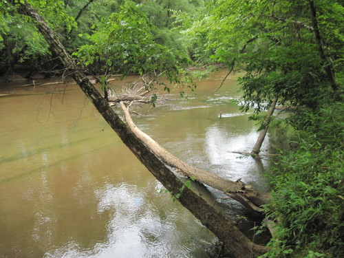 Enoree River at FS 336A (Credit: Upstate Forever)