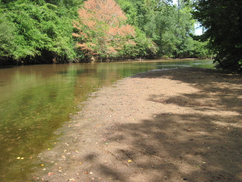 Enoree River at FS 339 (Credit: Upstate Forever)
