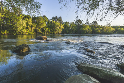 Shoals on the Saluda (Credit: Palmetto Outdoors)
