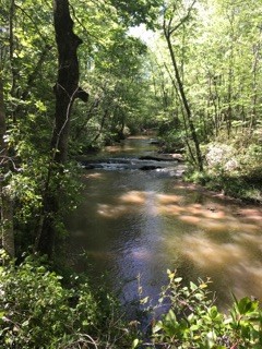 Town Creek at Town Creek Park (Credit: Upstate Forever)