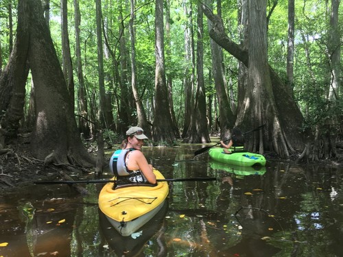 Cedar Creek (Credit: Will Green)