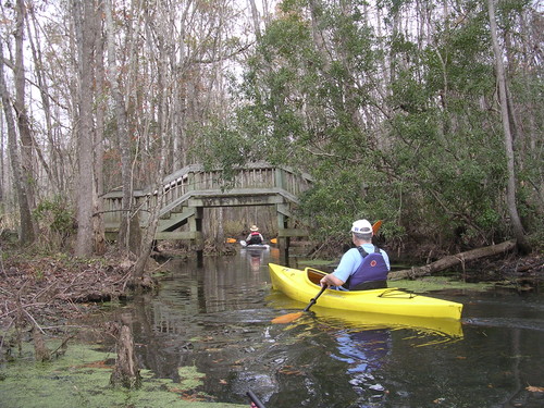 Biggin Creek in Old Santee Canal Park (Credit: Berkeley County Blueways)