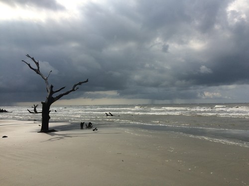 Bulls Island Beach (Credit: Katie Luciano, SCDNR)