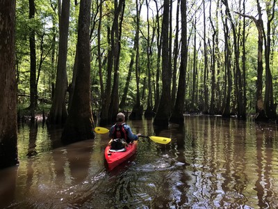 Cedar Creek (Credit: Taryn Arrington)