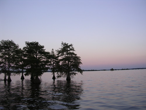 North Moultrie Sunset (Credit: Berkeley County Blueways)