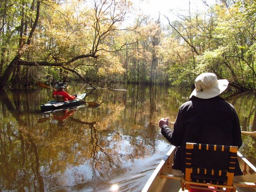 Wambaw Creek (Credit: Berkeley County Blueways)