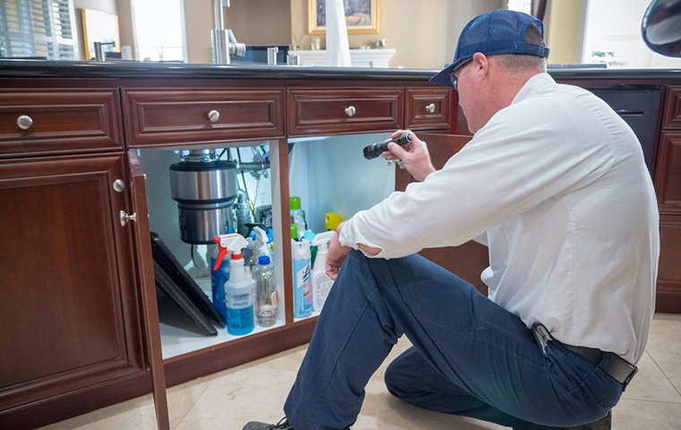 a pest technician inspecting the interior of a house