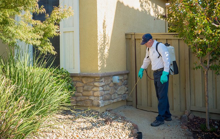 a pest technician treating outside of home