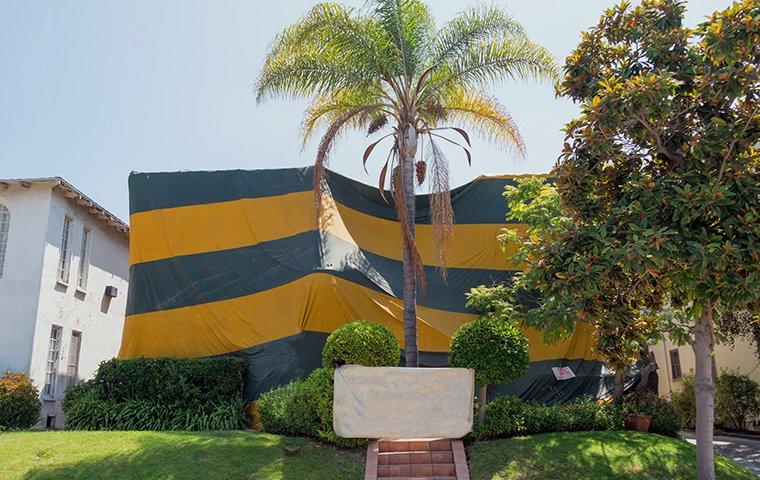 a house with a fumigation tent on it