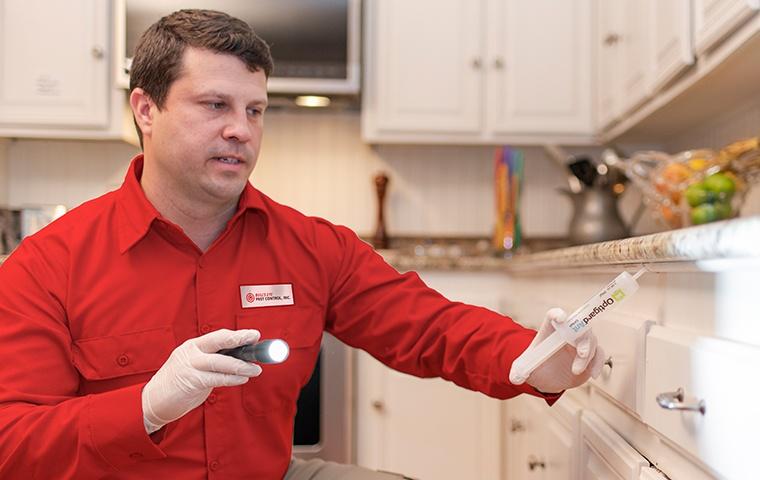 a pest control service technician inspecting a kitchen for pests inside of a home in menifee california
