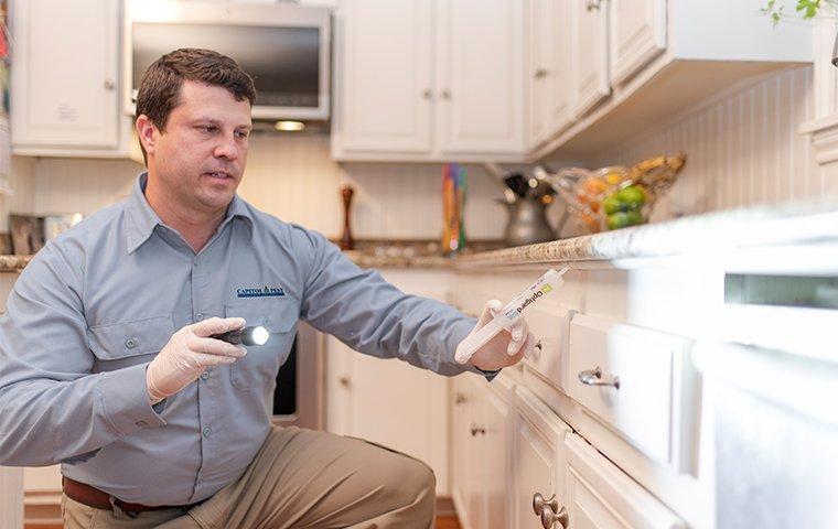 a pest technician treating a kitchen for cockroaches in washington dc