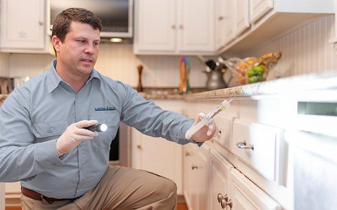Comprehensive Pest Control Services pest control treatment being performed in a washington dc kitchen