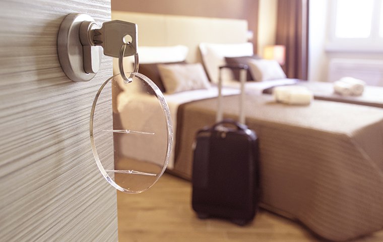 Keeping Pests Out Of Your Hotel Is A Must interior of a hotel room in washington dc
