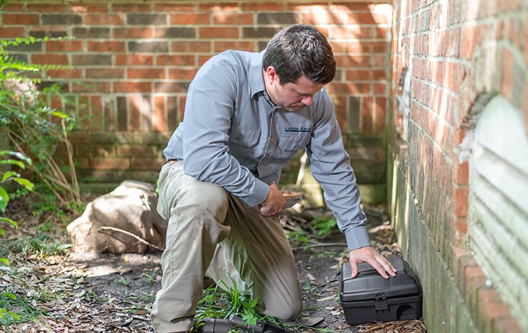 We Provide Effective Pest Control Treatments a pest technician checking a rodent trap at a home in washington dc