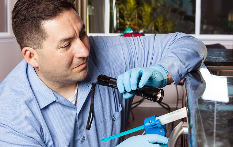 Home Pest Control Is Important To Maintain Year-Round a heritage pest control service technician inside of a wyckoff new jersey home