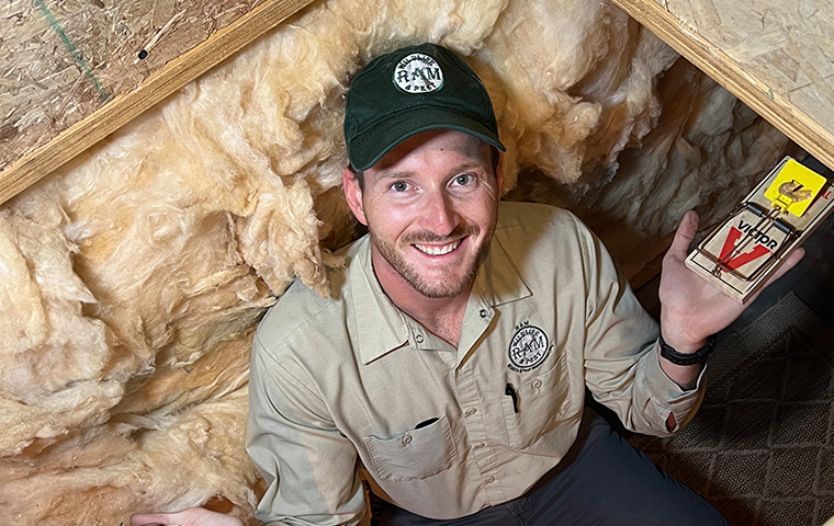 a ram wildlife and pest control service technician setting up a rodent trap in aspen colorado