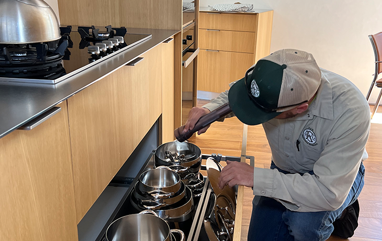 a ram wildlife and pest management service technician inspecting a home in avon colorado