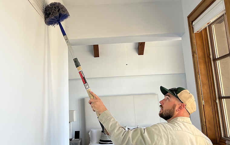 a ram wildlife and pest management service technician clearing away spiderwebs