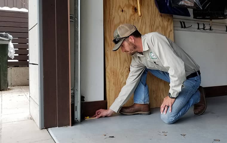 a ram wildlife and pest management service technician installing a rodent control station in rulison colorado
