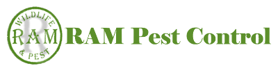 ram wildlife and pest management logo