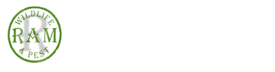 white ram wildlife and pest management logo