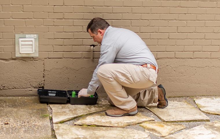 Commercial Pest Control Experts Serving Dfw Houston Austin San Antonio