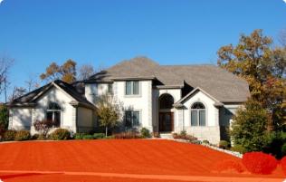 romney treats lawns and yards for spiders, fleas, ticks, fire ants and more