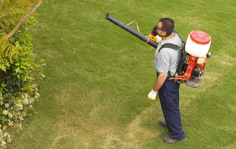 a pest expert treating a yard for mosquitoes