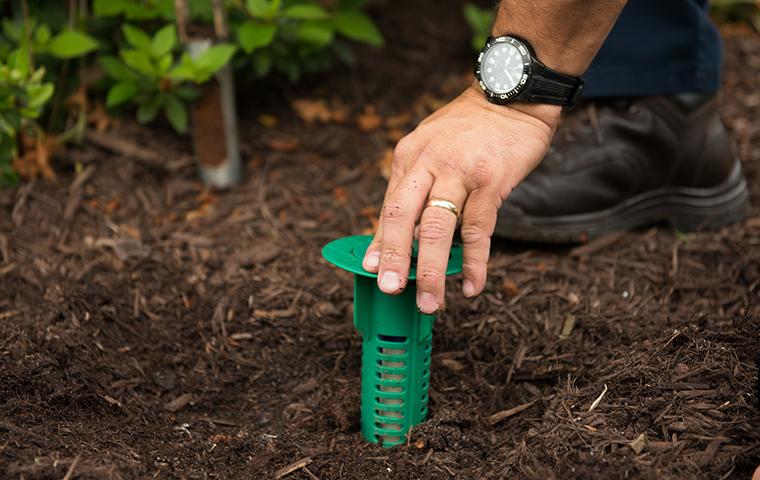 Termite Control | Aiken Pest Control