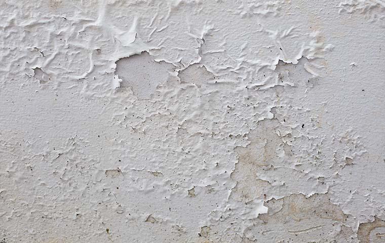 paint peeling of wall