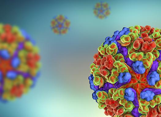 illustration of chikungunya virus