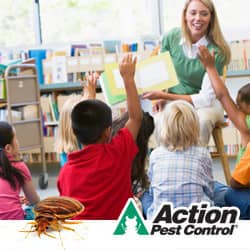 Bed bug infestations at school are on the rise classrooms with bed bugs can cause infestations in indiana