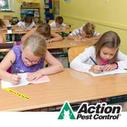 Keep Head Lice And Bed Bugs Away From Your Home This School Year Back To School Pest Control In Indianapolis