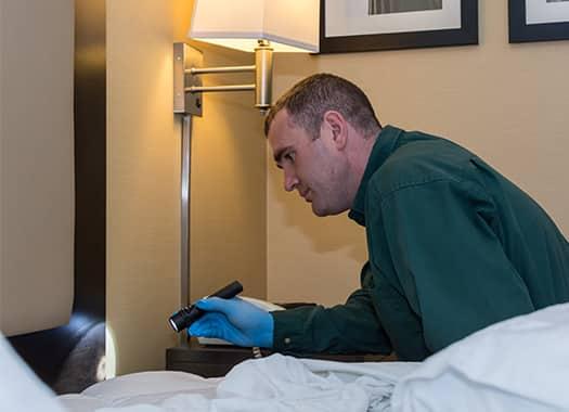 Be On The Lookout For Bed Bugs This Summer a professional bed bug technician inspecting and treating a high traffic hotel room in elizabethtown kentucky