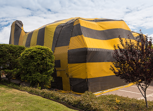 Learn How Fumigation For Commercial Facilities Works fumigation tent on business